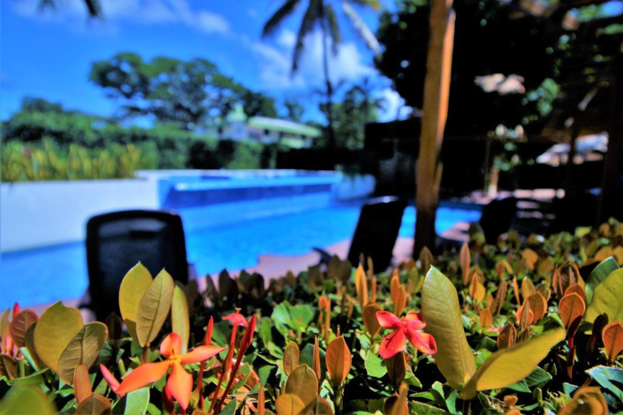Hotel Maya Tulipanes Palenque Eksteriør billede