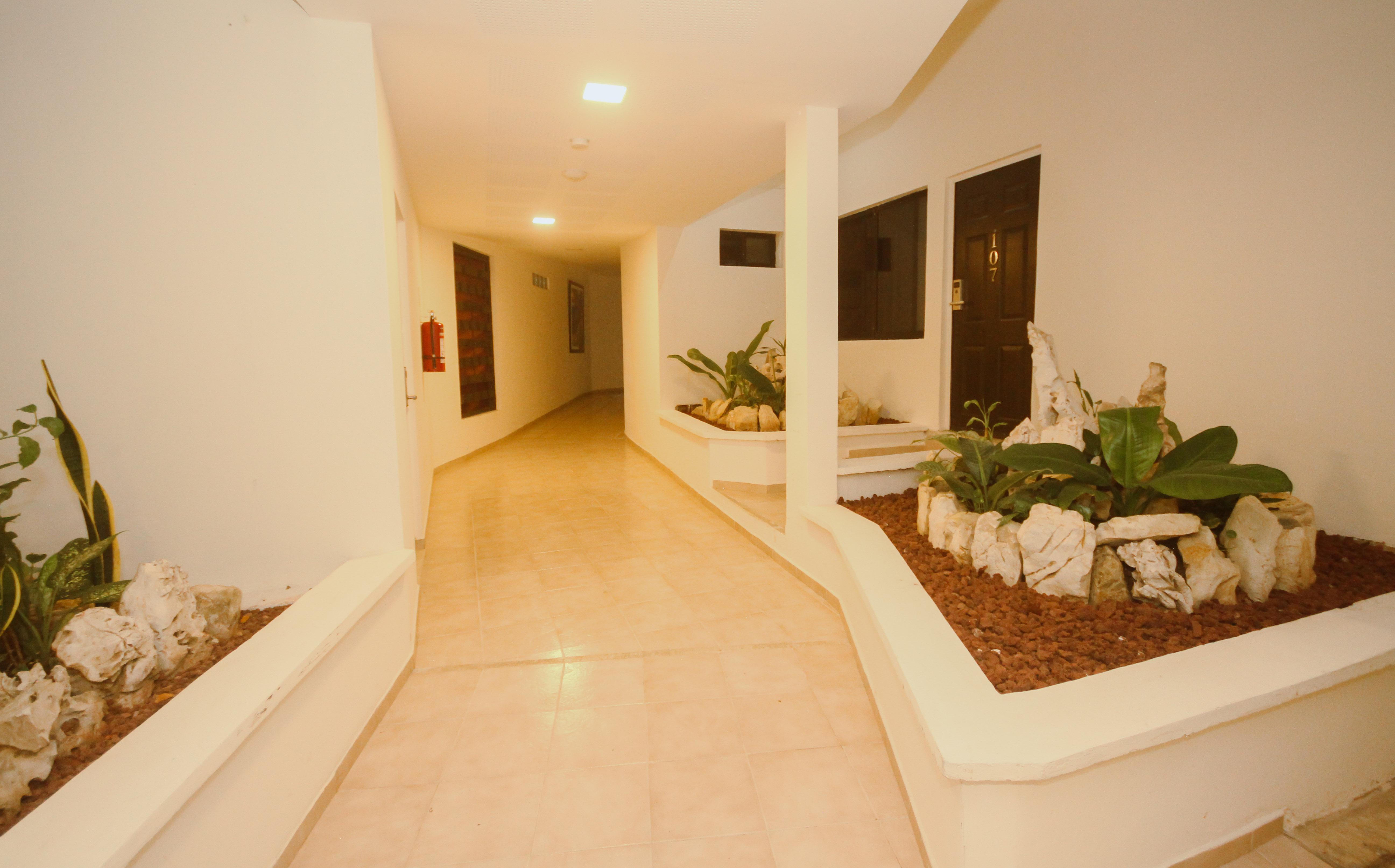 Hotel Maya Tulipanes Palenque Eksteriør billede